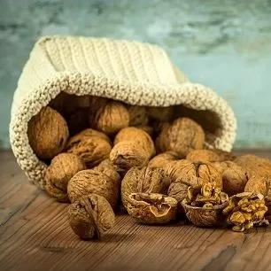 Польза грецких орехов для организма - Первая монастырская здравница