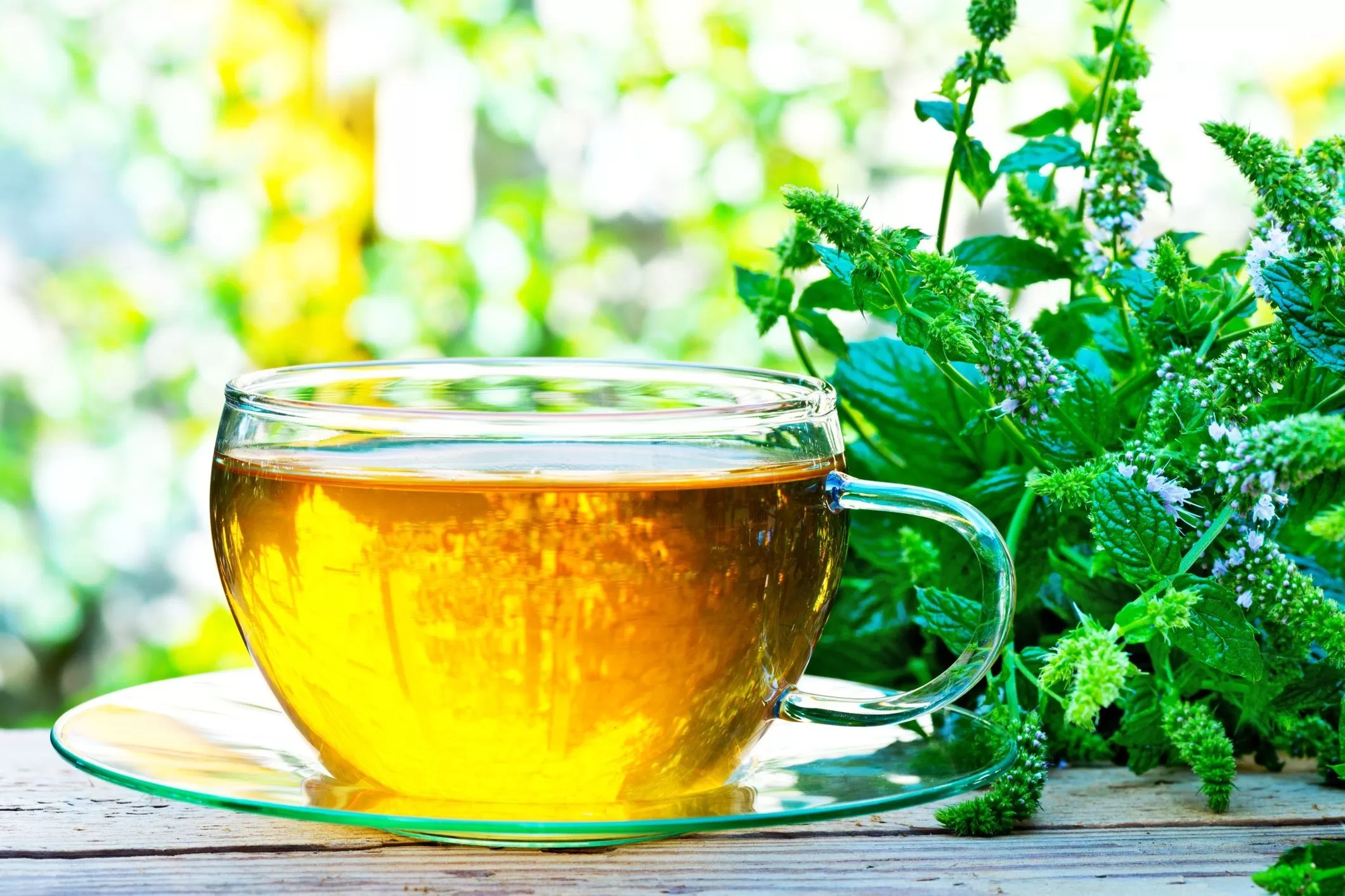 Успокоительные травяные чаи: как они работают и как выбрать правильный - Первая монастырская здравница